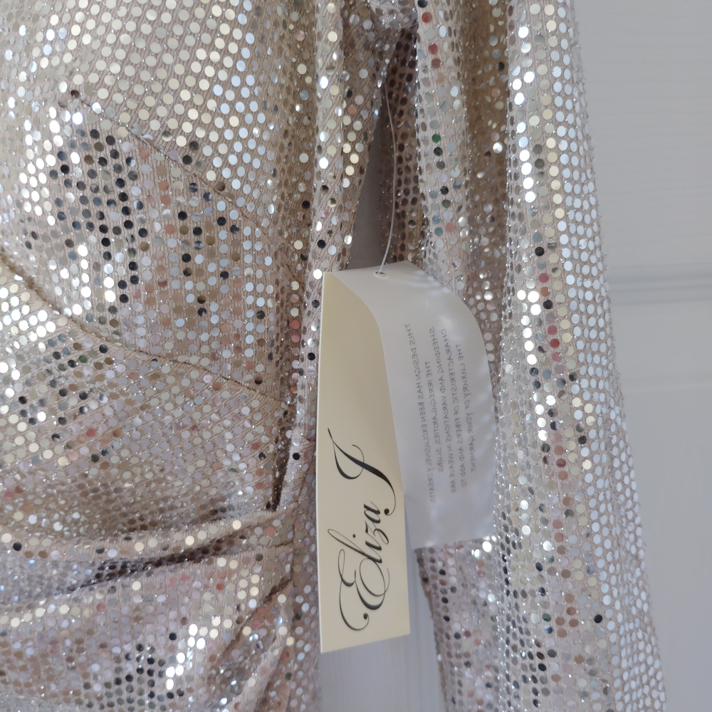 Eliza J Silver Sequin Dress